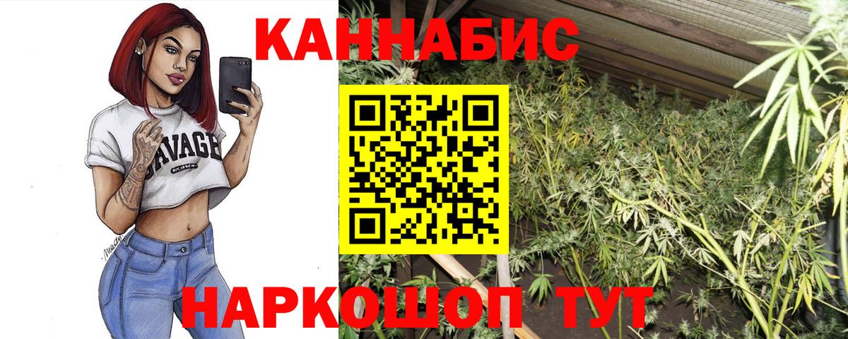 Бошки Шишки THC 21% Жигулёвск